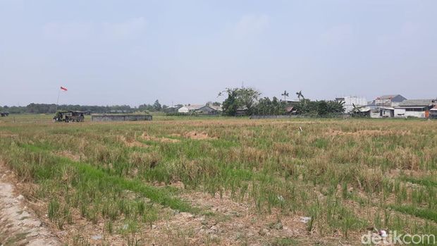 Sawah Jakarta