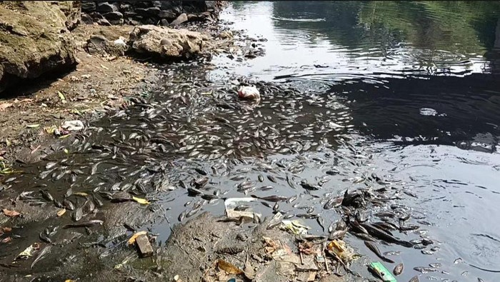 Sungai Cileungsi Bogor tercemar. (Dok. Istimewa)