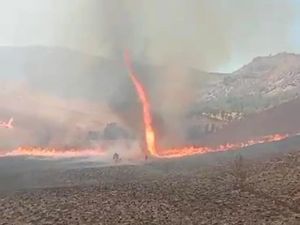 Viral Tornado Api Muncul di Tengah Kebakaran Bromo yang Makin Menggila