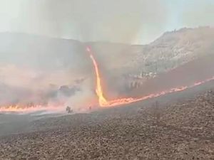 Penjelasan BMKG soal Tornado Api di Tengah Kebakaran Bromo yang Menggila