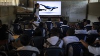 Ribuan paus bungkuk akan berkumpul untuk berkembang biak di perairan hangat di Pasifik Kolombia antara bulan Juli dan Oktober. Mereka melakukan perjalanan ribuan mil dari Antartika untuk melahirkan anak-anaknya.  