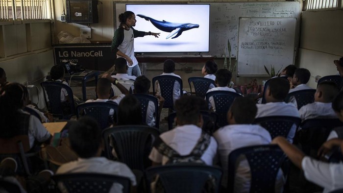 Turis Berbondong ke Kolombia untuk Lihat Migrasi Ribuan Paus Bungkuk A mural of a humpback whale graces a wall of the Luis Lopez de Mesa school, in BahΓa Solano, Colombia, Tuesday, Aug. 29, 2023. Every year the Colombian population of BahΓa Solano welcomes humpback whales and hundreds of tourists who arrive to watch them as they pass through the Pacific. (AP Photo/Ivan Valencia)