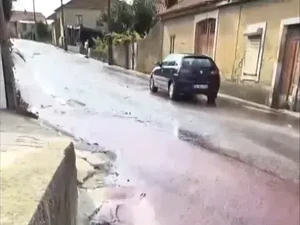 Heboh Tumpahan Wine Banjiri Portugal