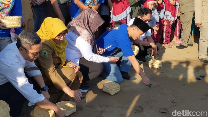 Festival Ucul-ucul Trenggalek