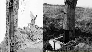Pohon Palsu yang Digunakan Sebagai Pos Pengamatan dan Sarang Penembak Jitu di Garis Depan Tentara Inggris pada Perang Dunia I Foto: Boredpanda