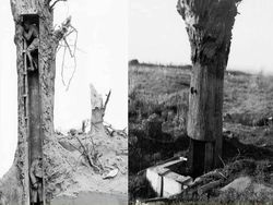 Foto Sejarah Mengabadikan Momen Mencengangkan