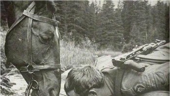 Penjaga Perbatasan Polandia Dan Kudanya Minum Air Dari Sungai Di Pegunungan Bieszczady Saat Patroli, 1980 Foto: Boredpanda