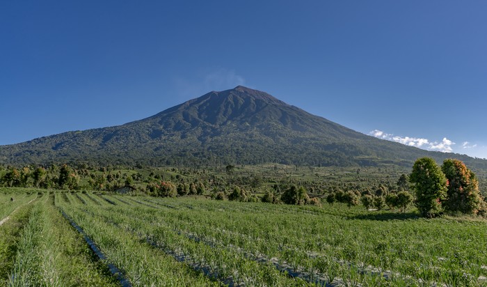 Gunung Kerinci, Jambi