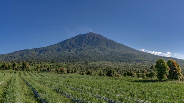 Gunung Kerinci, Jambi
