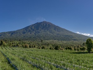 Hutan Sumatera Dicap Merah UNESCO, Kerusakan Lingkungan Mencemaskan