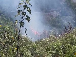 Sempat Padam, Api di Bromo Membara Lagi karena Embusan Angin Kencang