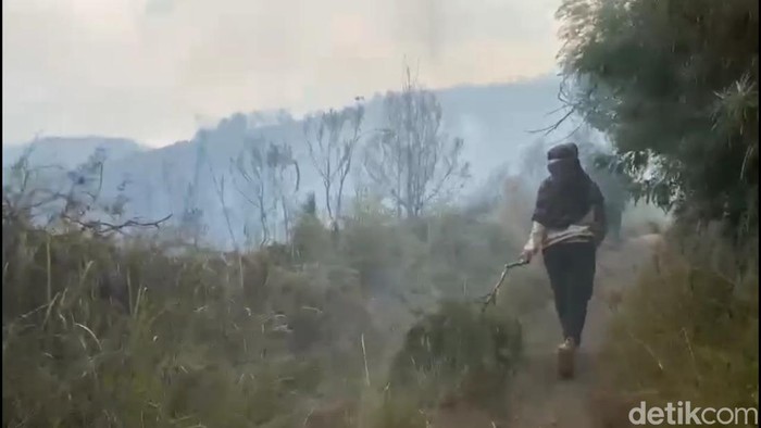 Kebakaran kawasan Gunung Bromo merembet ke Pasuruan