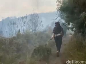 Kebakaran Gunung Bromo Merembet ke Wilayah Tutur Pasuruan