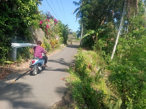Kondisi jalan yang longsor dan membahayakan pengguna jalan di Desa Yehembang Kauh, Kecamatan Mendoyo, Kabupaten Jembrana, Selasa (12/9/2023). (I Putu Adi Budiastrawan/detikBali)