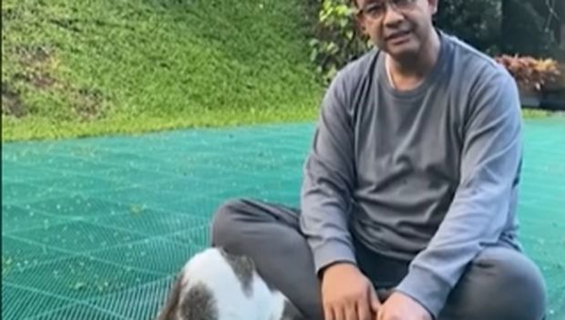 kucing Anies