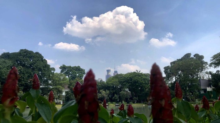 Langit Jakarta siang cerah pagi ini. Langit berwarna biru disertai degan gugusan awan.