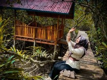Hutan Mangrove Okura Pekanbaru: Lokasi, Jam Buka, dan Harga Tiket