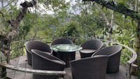 Berada di Tegalalang, Kabupaten Gianyar. Bali Pulina merupakan agro wisata kopi luwak yang mengenalkan kopi luwak sebagai produk utama dari destinasi ini. Di tempat ini, berbagai jenis tanaman kopi dan coklat yang ditanam langsung di sepanjang jalan menuju kafe. Traveler memiliki kesempatan untuk menjelajahi Bali Pulina, mengamati kebun yang tidak hanya berisi tanaman kopi dan coklat, tetapi juga berbagai jenis tumbuhan herbal dan buah-buahan.  