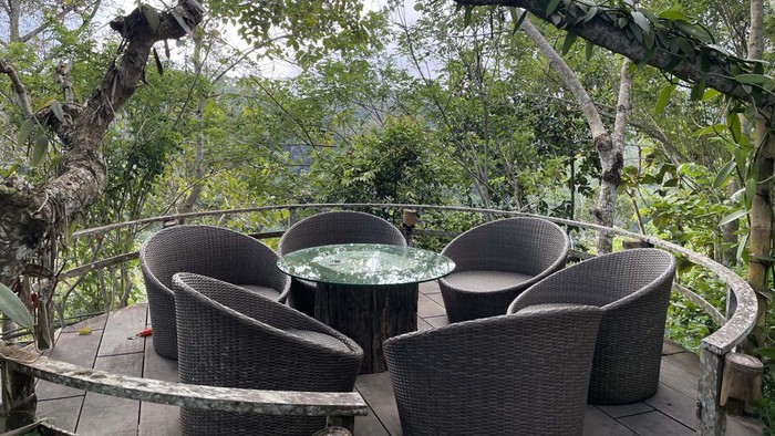 Saat berkunjung ke daerah Ubud di Bali, Bali Pulina adalah destinasi yang tak boleh terlewatkan. Perkebunan kopi dan kafe menawarkan sensasi berbeda menikmati kopi.