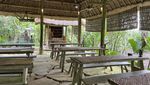Bali Pulina Tempat Ngopi di Tengah Kebun Kopi dan Kawanan Luwak