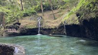 Sudah berdiri sejak 2011, Bali Pulina saat ini memiliki lahan dengan luas 1,5 hektar dengan berbagai aktivitas menarik di dalamnya yang patut dicoba.  