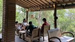 Bali Pulina Tempat Ngopi di Tengah Kebun Kopi dan Kawanan Luwak