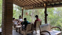 Bali Pulina buka setiap hari mulai pukul 09.00 – 18.00 WITA. Bali Pulina dapat menjadi pilihan destinasi wisata jika traveler ingin berlibur dengan bujet yang tipis dan pengalaman yang berbeda. Harga tiket masuk ke destinasi ini gratis. Namun, untuk mendapatkan semua produk dari Bali Pulina traveler akan dikenakan biaya yang berbeda-beda.  
