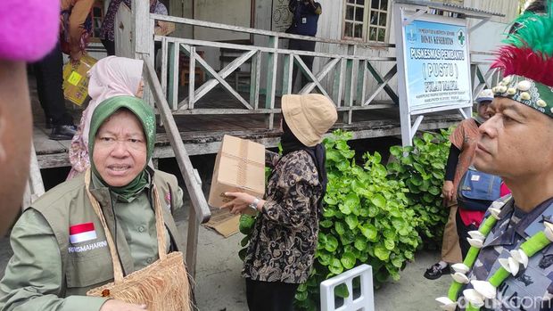 Mensos Tri Rismaharini ke Pulau Mapia, Kabupaten Supiori, Papua, untuk memberikan sejumlah bantuan berupa pembangkit listrik, sembako, hingga hewan ternak. (Azhar BR/detikcom)