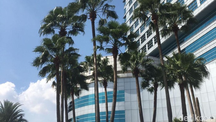 Langit Jakarta Biru, BMKG Jelaskan Cara Bilas Polusi Pakai Metode Water Mist