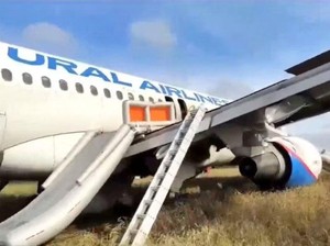 Airbus A320 Milik Maskapai Rusia Mendarat Darurat di Siberia
