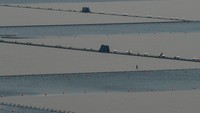 PLTS terapung di Waduk Cirata ini berkapasitas 192 megawatt peak (MWp) yang terbentang di area seluas 200 hektare serta terdiri lebih dari 340 ribu solar panel.  