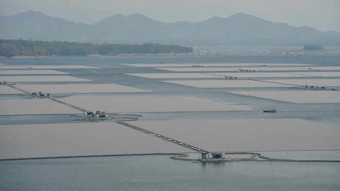 Proyek pembangunan PLTS terapung Waduk Cirata Perahu melintas di samping proyek Pembangkit Listrik Tenaga Surya (PLTS) terapung di Waduk Cirata, Kabupaten Cianjur, Jawa Barat, Selasa (12/9/2023). PLTS terapung di Waduk Cirata dengan kapasitas 192 megawatt peak (MWp) yang terbentang di area seluas 200 hektare serta terdiri lebih dari 340 ribu solar panel dan mampu memproduksi 245 juta kWh bersih per tahun tersebut rencananya akan diresmikan pada 2023 mendatang oleh Presiden Joko Widodo. ANTARA FOTO/Raisan Al Farisi/hp.