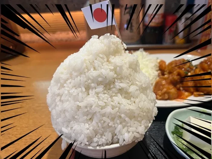 Restoran di Jepang Ini Punya Menu Nasi Putih ‘Segunung’ ala Gunung Everest