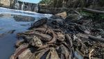 Potret Sungai Cileungsi Tercemar Limbah Industri