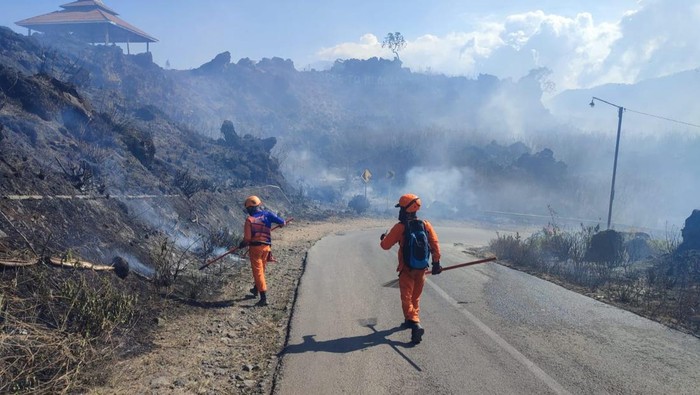 20 Hektar lahan hijau hangus terbakar di Lereng Gunung Ijen