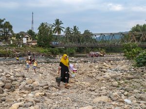 BPBD Serang Sebut Sungai Ciujung Habitat Asli Buaya, Imbau Warga Hati-hati