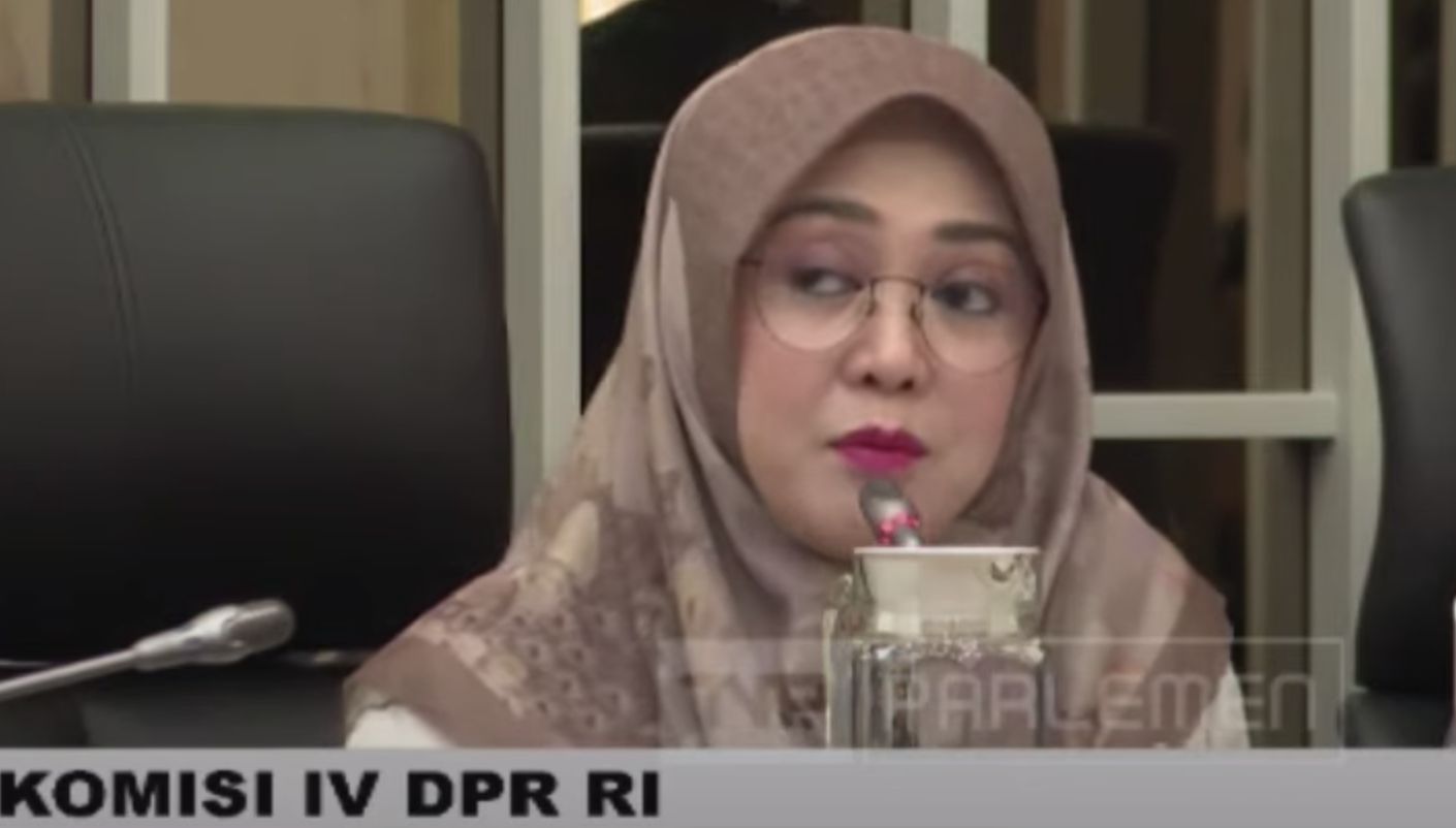 Anggota Komisi IV DPR Ema Umiyyatul Chusnah dari Fraksi Partai Persatuan Pembangunan. (YouTube/DPR RI)