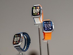 Dokter Hewan Pakai Apple Watch Pantau Detak Jantung Singa