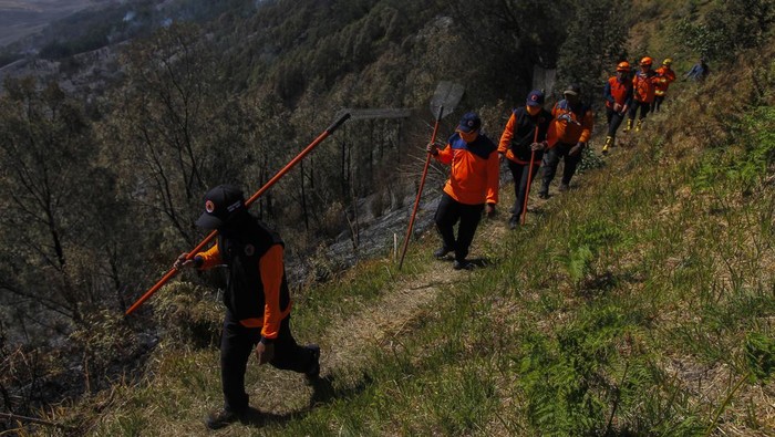 Aparat gabungan melakukan penyisisran lahan Gunung Bromo yang terbakar. Mereka memastikan agar kebakaran tidak meluas.