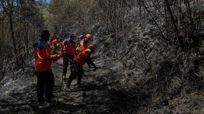 Cegah Kebakaran Meluas, Petugas Sisir Gunung Bromo