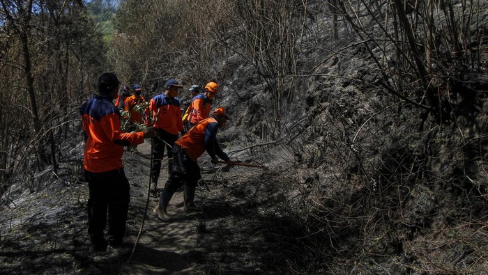 Aparat gabungan melakukan penyisisran lahan Gunung Bromo yang terbakar. Mereka memastikan agar kebakaran tidak meluas.