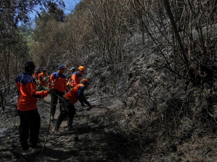 Cegah Kebakaran Meluas, Petugas Sisir Gunung Bromo
