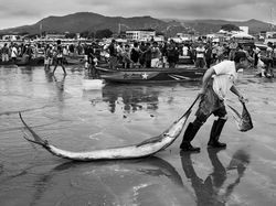 Karya Mencengangkan Finalis Kontes Foto Satwa Liar