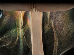 Karya Mencengangkan Finalis Kontes Foto Satwa Liar