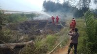 59 Kebakaran Lahan Terjadi Di Bengkulu, Damkar Siagakan Personel Di ...