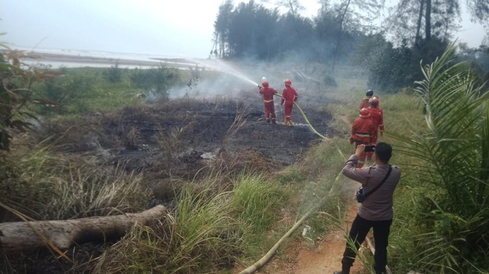 Karhutla di Bengkulu