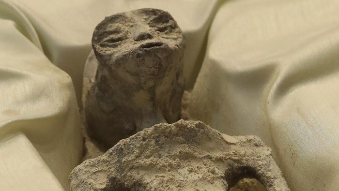Remains of an allegedly 'non-human' being is seen on display during a briefing on unidentified flying objects, known as UFOs, at the San Lazaro legislative palace, in Mexico City, Mexico September 12, 2023. REUTERS/Henry Romero