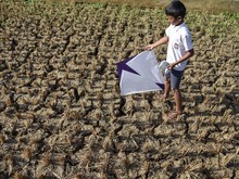 Waspada Kondisi Godzilla El Nino, Musim Kemarau Bakal Lebih Panjang dan Kering