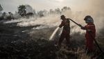 4.082,8 Hektare Lahan di Sumatera Selatan Terbakar