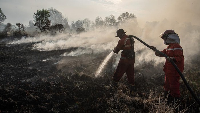Luasan lahan yang terbakar di Sumatera Selatan Petugas dari BPBD Kabupaten Ogan Ilir (OI) menunjukkan ular yang terbakar akibat kebakaran lahan di Desa Ibul I, Kecamatan Pemulutan, Kabupaten Ogan Ilir (OI), Sumatera Selatan, Selasa (12/9/2023). Berdasarkan data dari KLHK, luasan lahan yang terbakar di Sumatera Selatan periode Januari-Agustus 2023 seluas 4.082,8 hektare. ANTARA FOTO/Nova Wahyudi/hp.